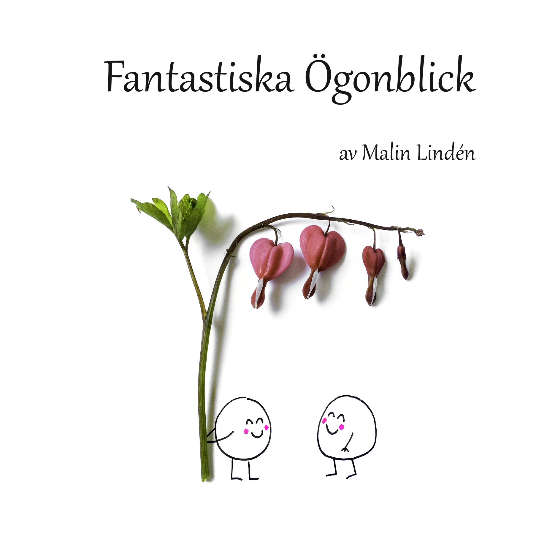 Omslag: Fantastiska ögonblick